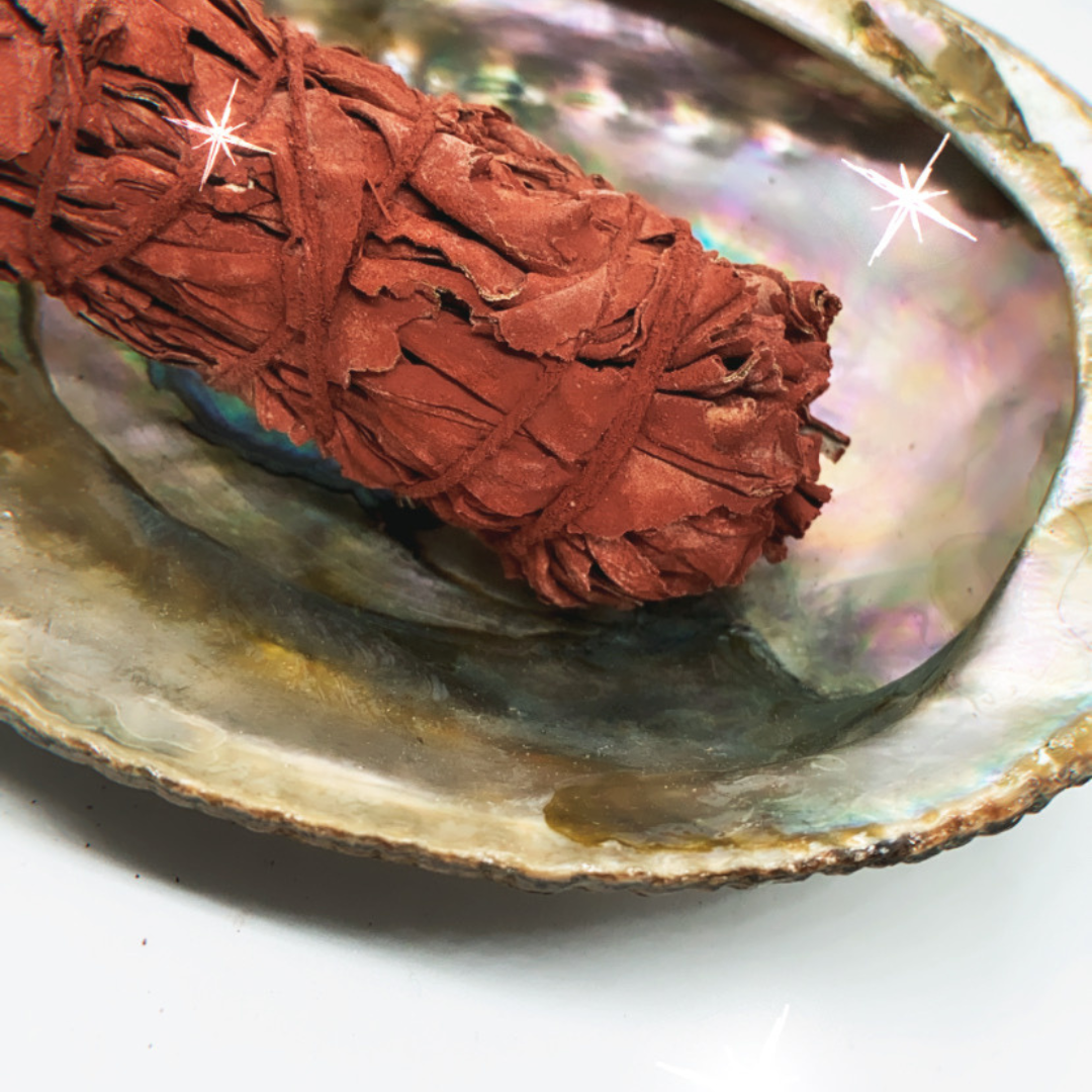 Abalone Shell (shell only)